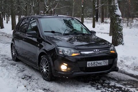 Калина 2 зимой