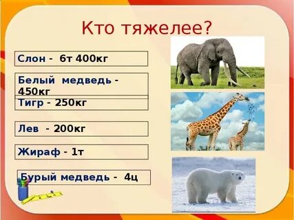 Кто тяжелее слон или бегемот