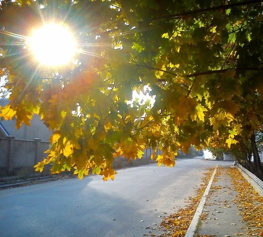 Теплый и солнечный город. Осень солнце. Солнце осенью. Солнечный осенний день. Солнечная осень в городе.