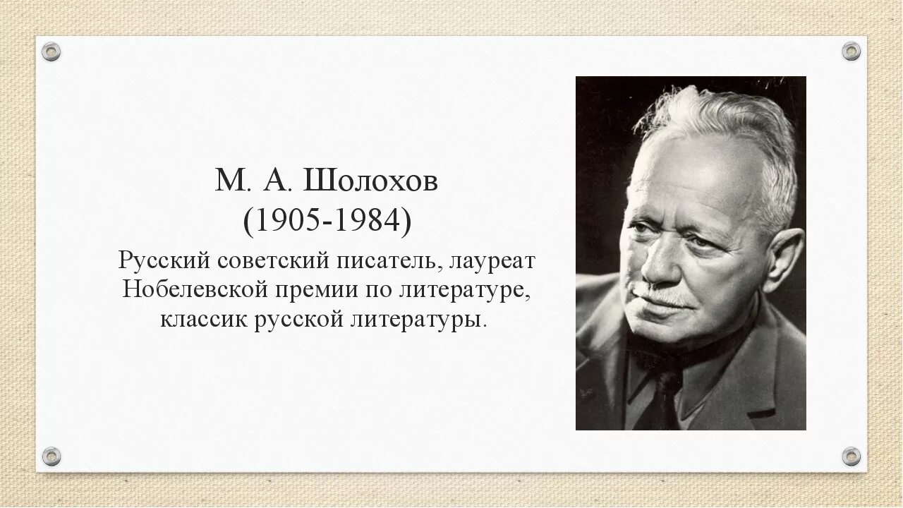 Шолохов краткая биография и творчество. Портрет Михаила Шолохова.