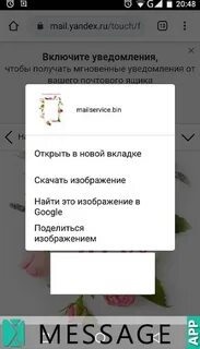 Как из ватсапа переслать на почту себе