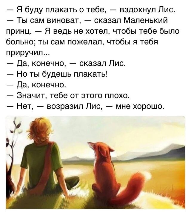 Маленький принц диалог. Маленький принц и Лис цитаты. Маленький принц Лис и принц. Маленький принц и Лисенок цитаты. Фраза из маленького принца лисы.