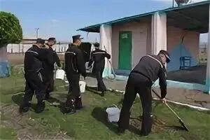 Осужденных добровольцы