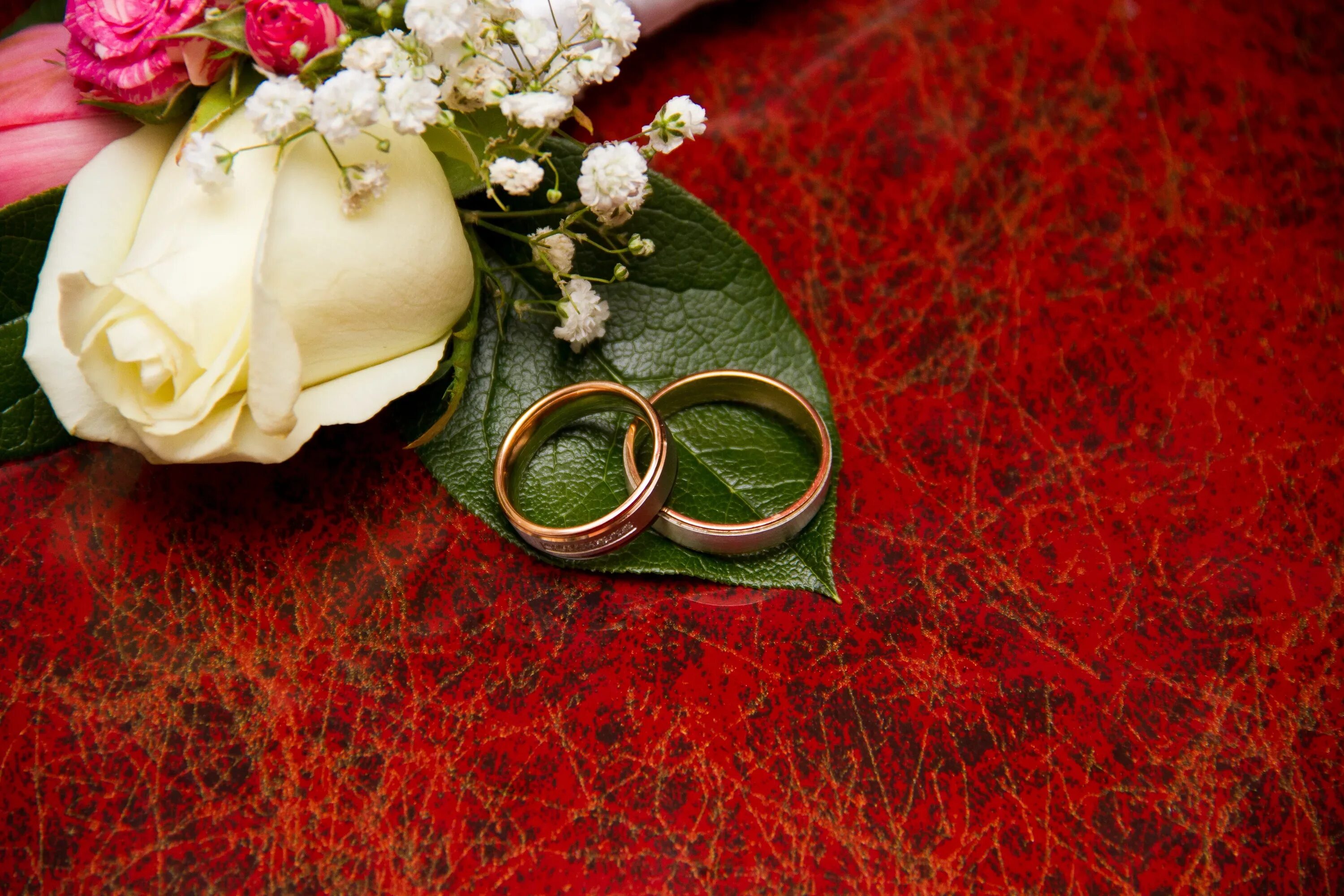 С годовщиной свадьбы 29 лет. Свадебный фон. Свадебные кольца. Обручальные кольца и цветы. Свадебные цветы с кольцами.