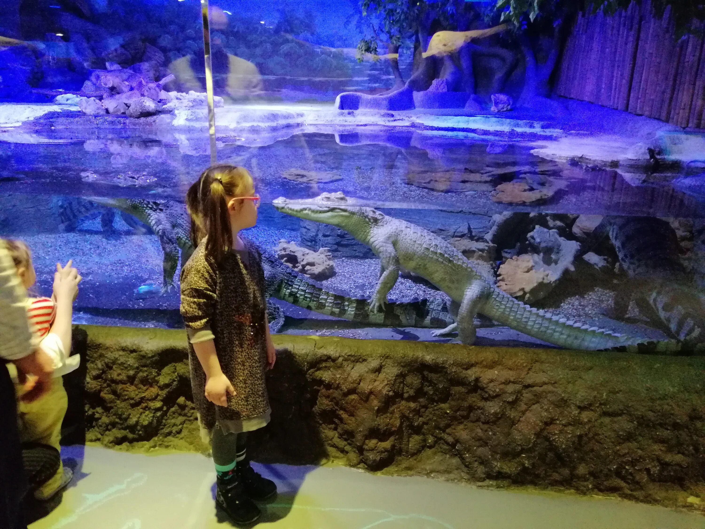 Океанариум самара работа. Самарский океан. Трк московский самара океанариум. Трк московский самара океанариум. Самарский океанариум самара.