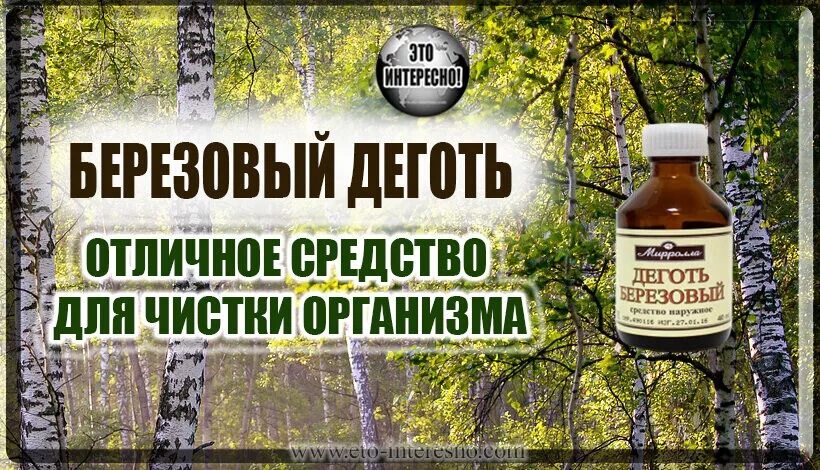 Как пить деготь березовый. Березовый деготь. очищение организма березовым дегтем. березовый деготь внутрь. деготь березовый применяется.