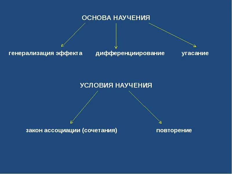 Научение у животных. Условия научения. Определите условия научения. Когнитивные формы научения. Эффекты научения.