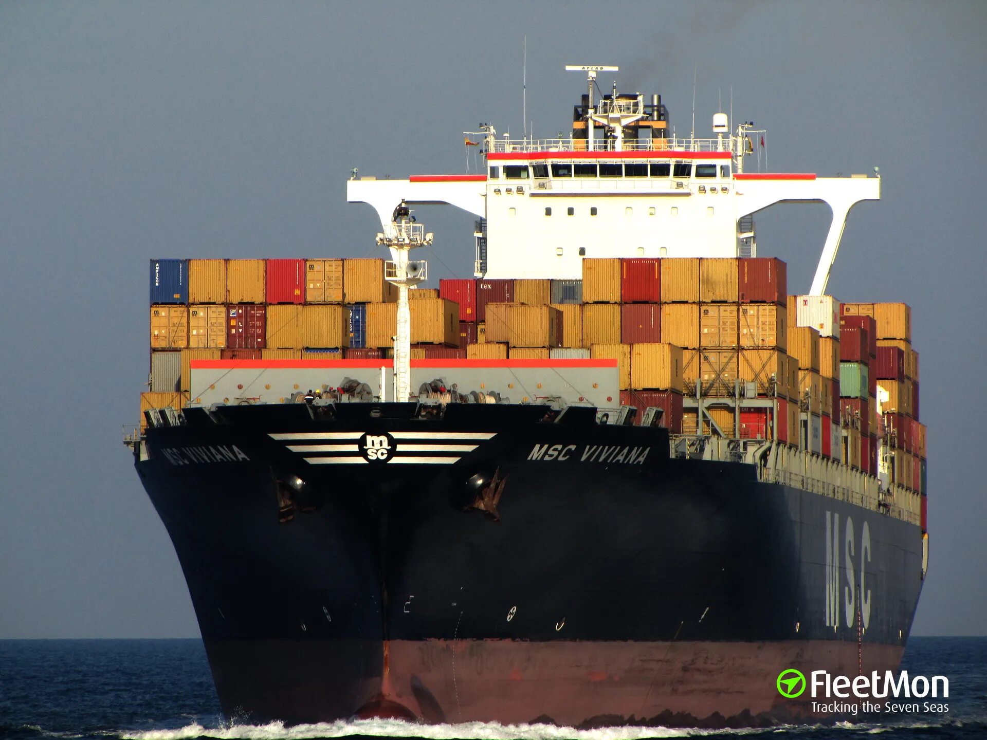 Msc не работает. Msc tessa контейнеровоз. msc giovanna. msc sheila. msc ortolan ii.
