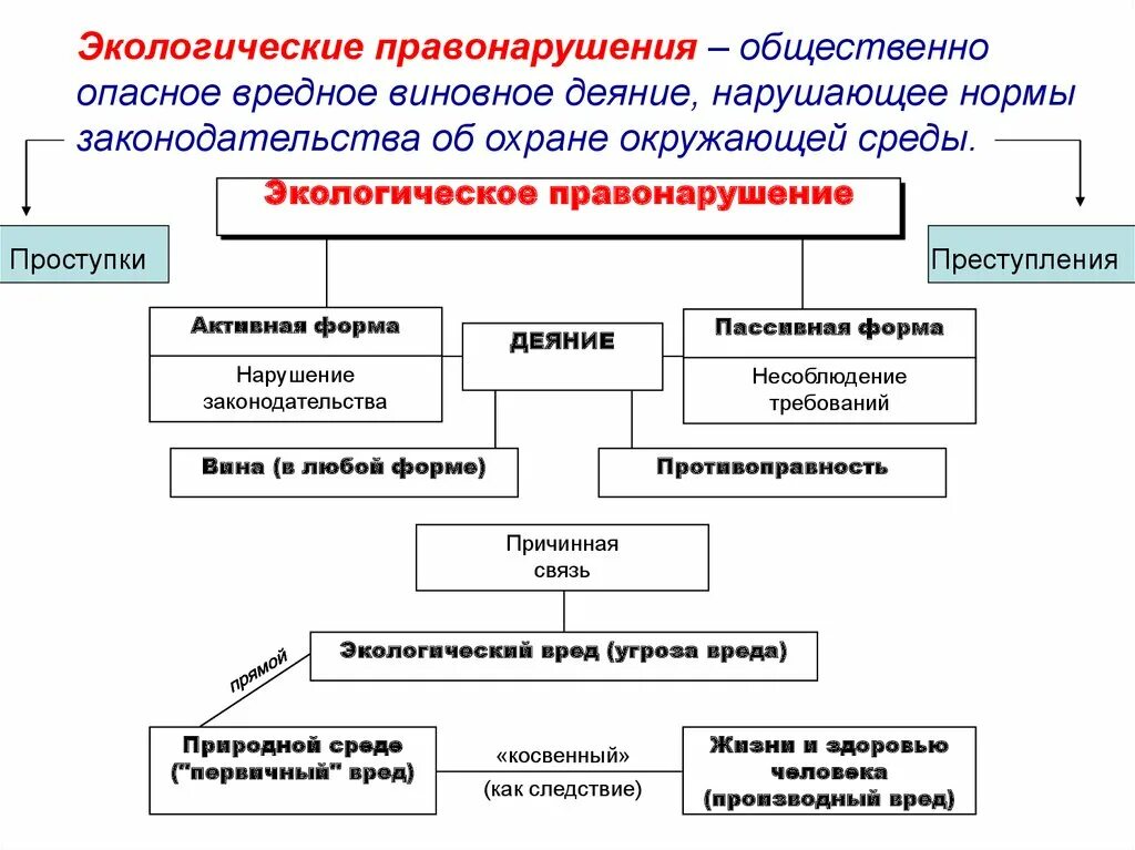 Экологические обязанности рф. Экологическое право Обществознание 10 класс.