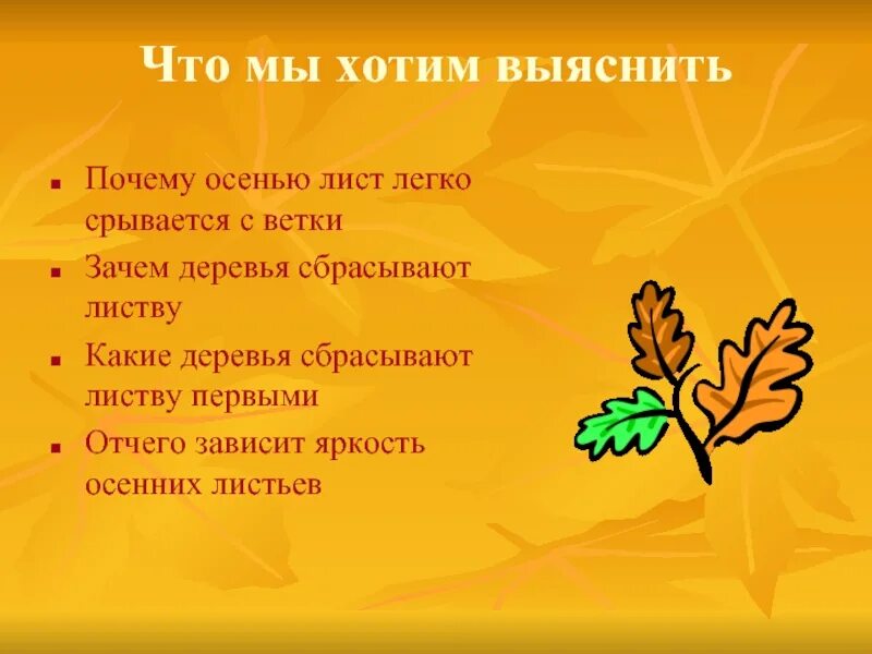 Сообщение листопад. Какие деревья сбрасывают листья осенью. почему деревья сбрасывают листья осенью. причины листопада осенью. почему опадают листья осенью.