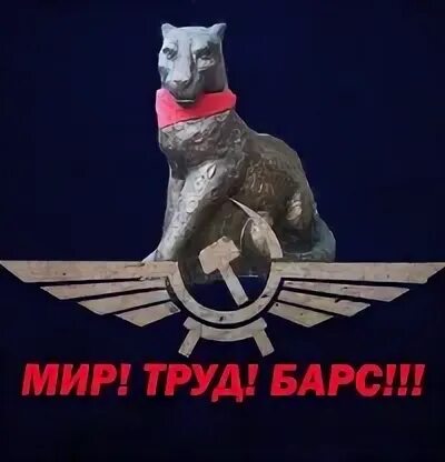 Барс 33 владимирская область