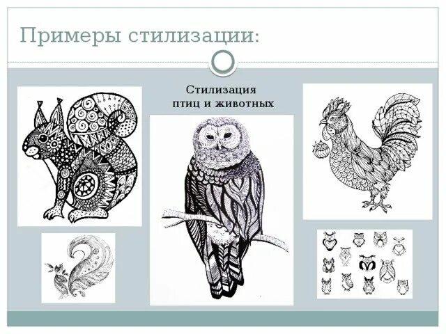 Выбери изображение животного которое