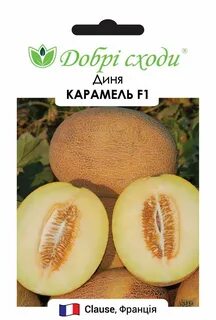Дыня карамелька