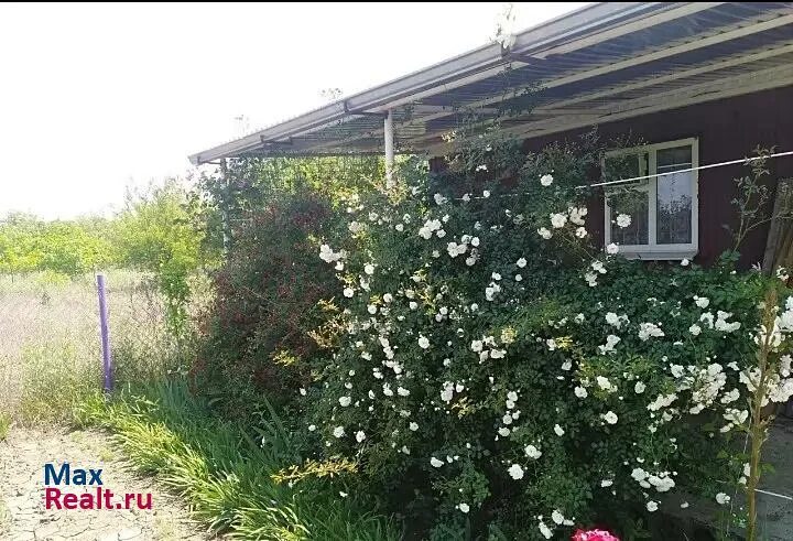 Каневский на даче. Снт зори кубани 28 улица 931 дом. Снт зори кубани старые фото. Кубань. Снт зори кубани.