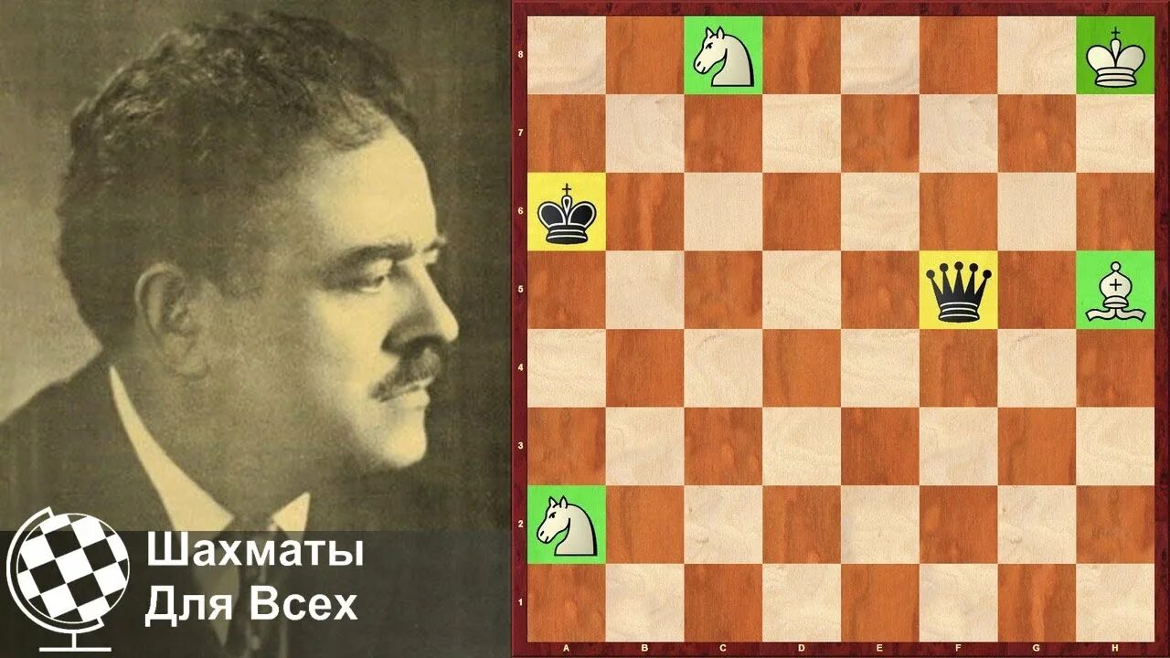 Танец коней мхедрули шахматы. Танцующий лошадь. Танцующая с лошадьми. Танец с лошадкой. Дебют танец коней.