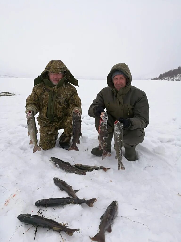 Погода в м горке. Ускуч Маркаколь. Погода с Ускуч. Как порыбачить на озере Маркаколь.