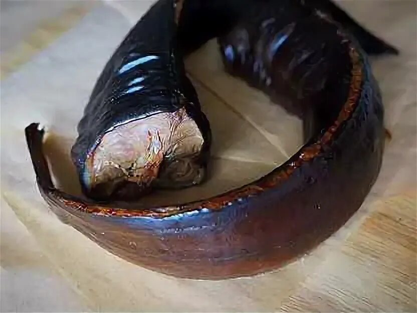 Закоптить сома горячего. Клариевый сом копченый. клариевый сом горячего копчения. сом клариевый вяленый. клариевый сом холодного копчения.