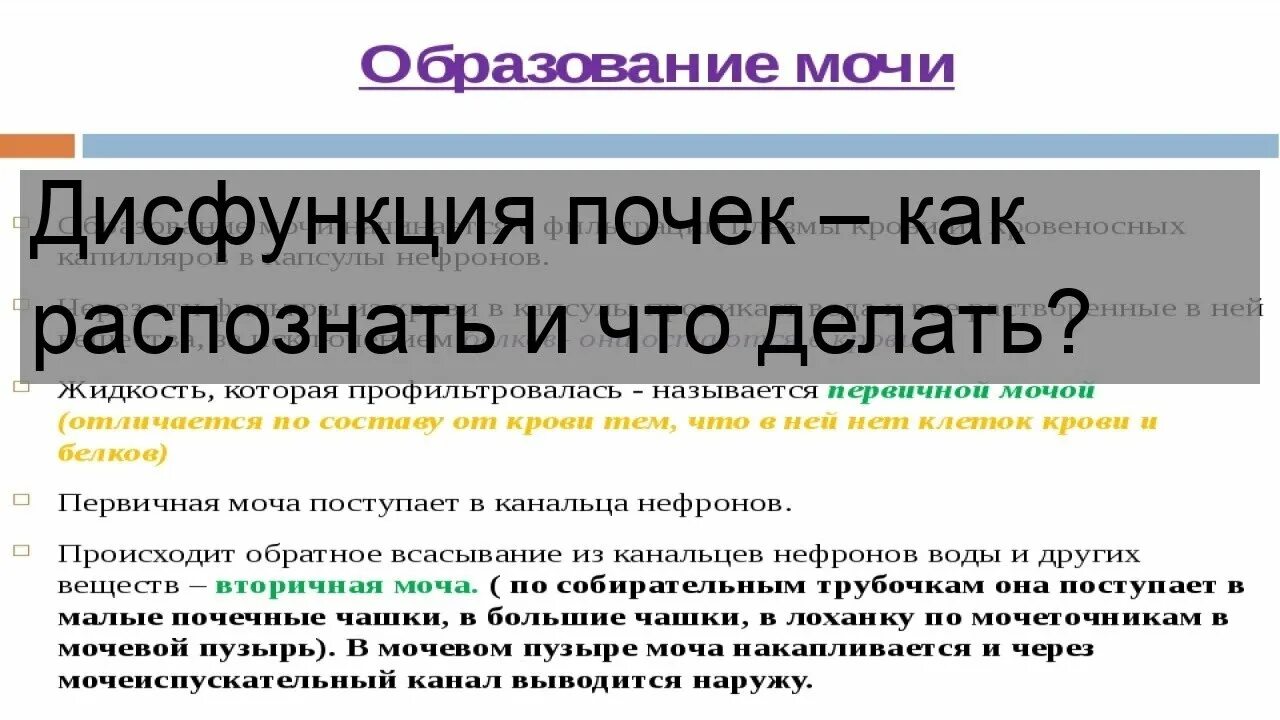 Синдром нарушения функции почек. Дисфункция почек. функциональные нарушения почек. дисфункция почек симптомы. синдромы нарушения работы почек.