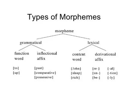 Types of grammar