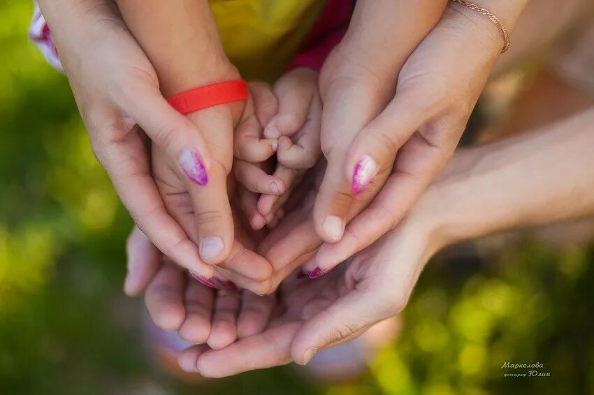 любовь семья. руки влюбленных. руки поколений. ладони вместе. ладони семьи.