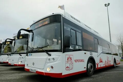 Автобусы до новой