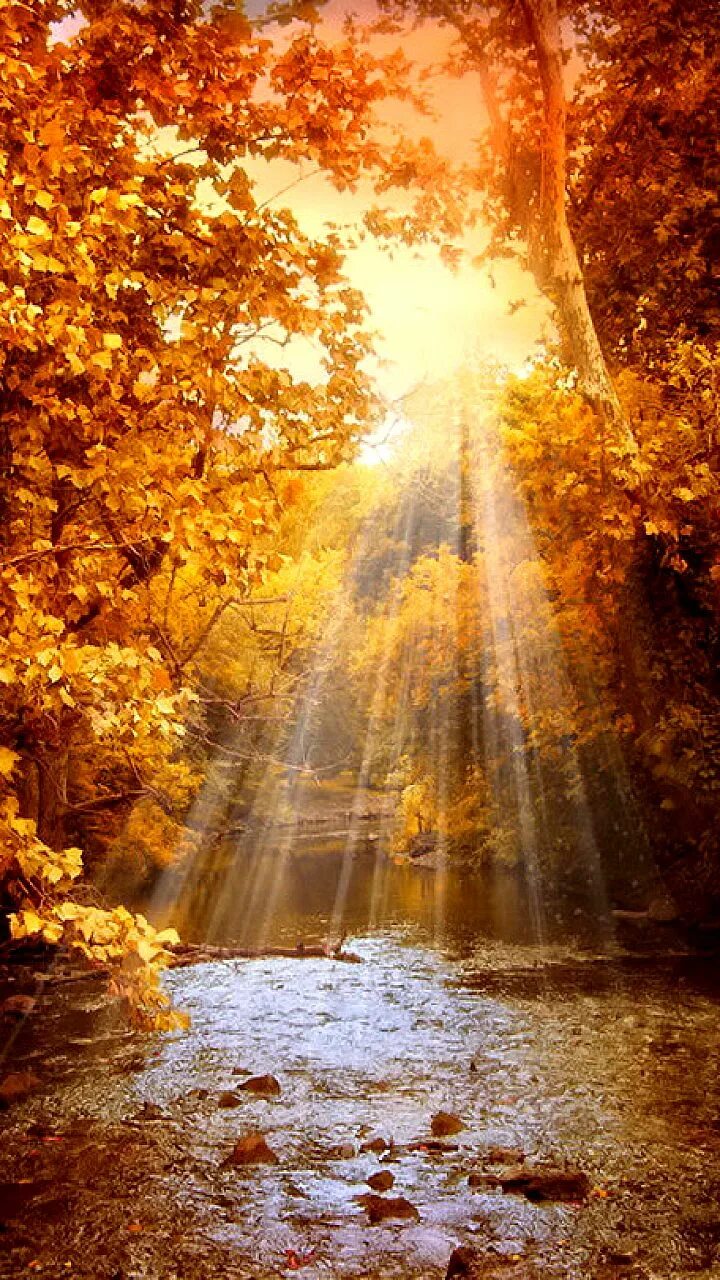 autumn by neoloonatic on deviantART Autumn photography, Autumn scenery, Landscap
