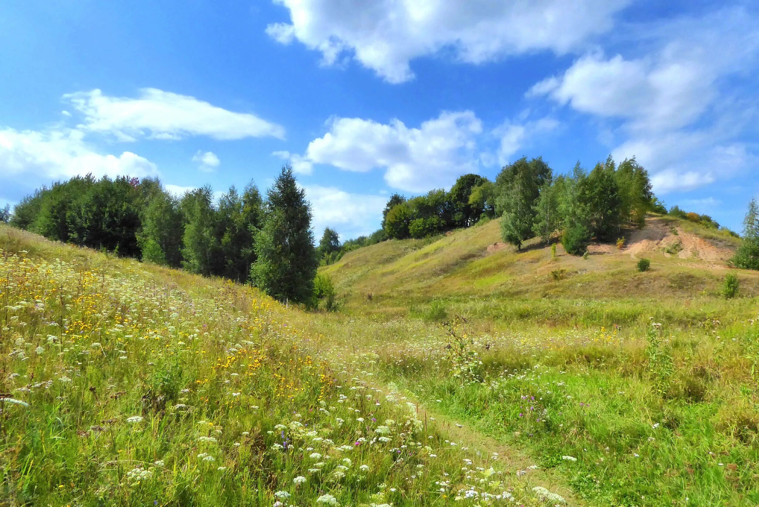 Плоский холм. Ложбинка это в природе. Пригорок. Косогор. Лето на пригорке.