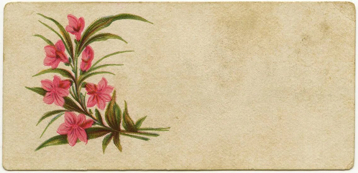 Old cards. Vintage card. old card. old card print.