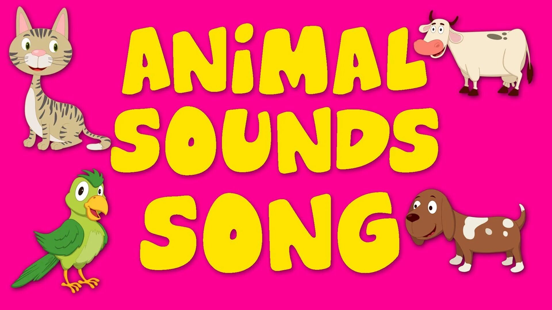 Animal rhymes. Animals Sounds. Animals Sounds for Kids. Звуки животных. Animal Sounds Song зоопарк.