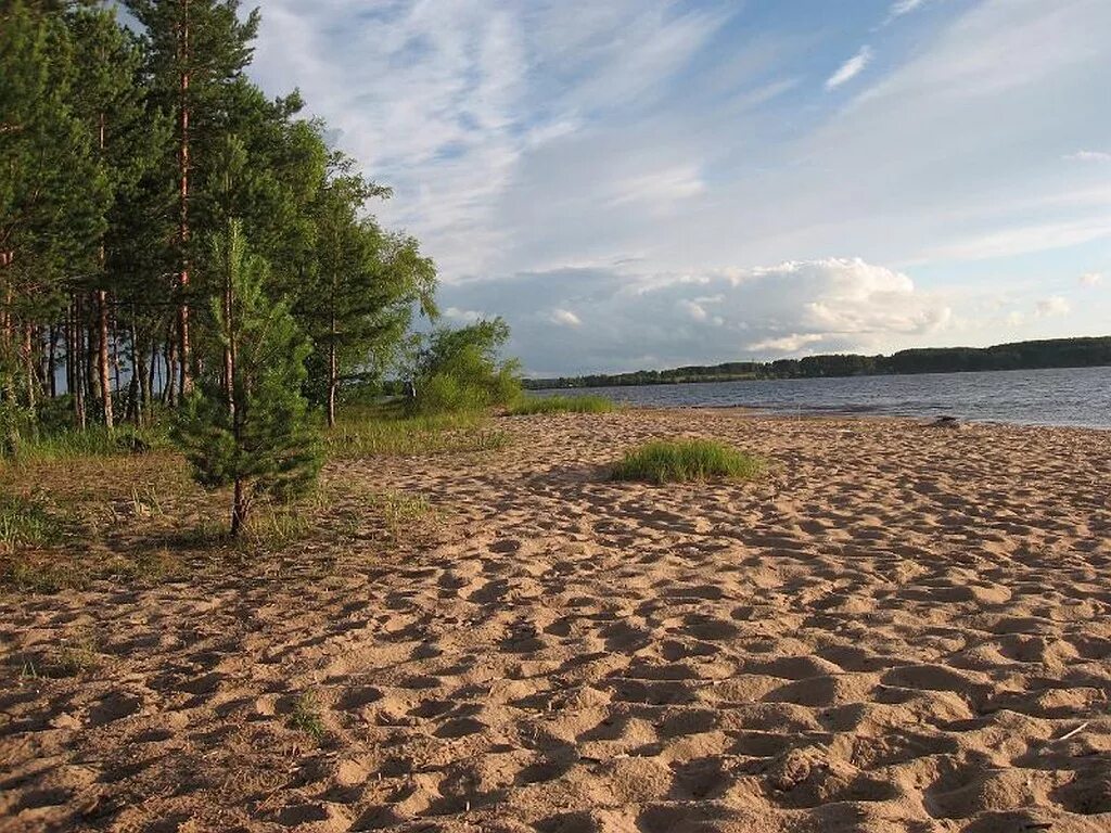 Озеро Селигер остров Городомля. Городомля остров на озере Селигер Тверская область. Селигер Городомля коса.