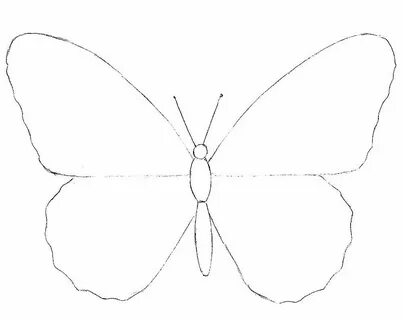 Рисунки бабочек карандашом для срисовки легкие.