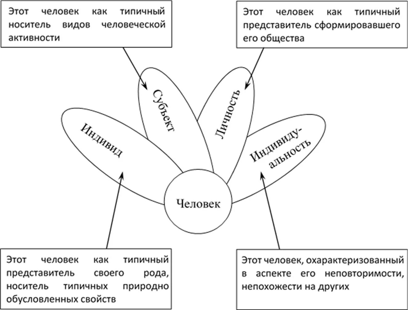 Различие человека и личности. Схема личность индивид индивидуальность человек. Соотношение понятий человек индивид личность индивидуальность. Схема понятий человек индивид личность. Взаимосвязь понятий индивид индивидуальность личность.