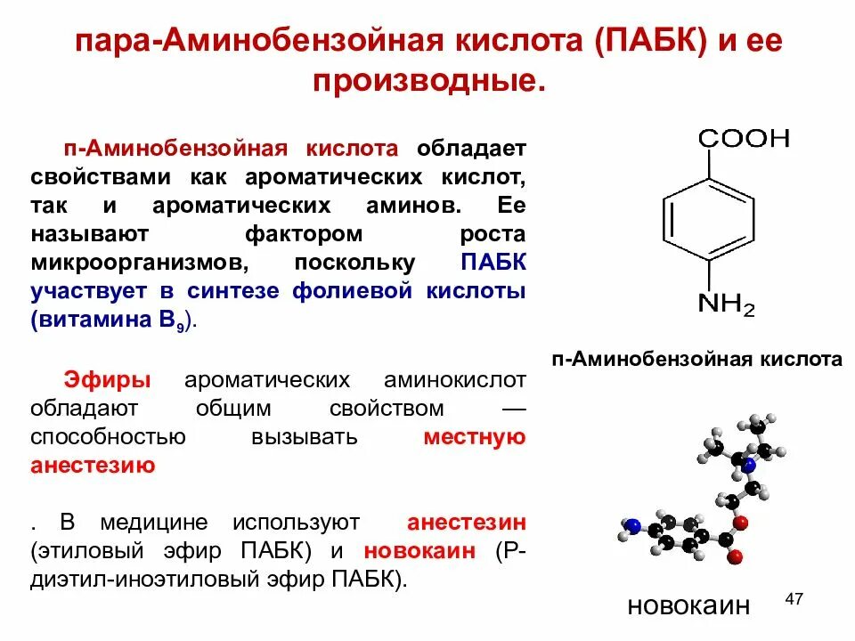 Пара-аминобензойная кислота (ПАБК). Бензойная кислота = аминобензойная кислота. Строение парааминобензойной кислоты. Биологическая роль парааминобензойной кислоты.