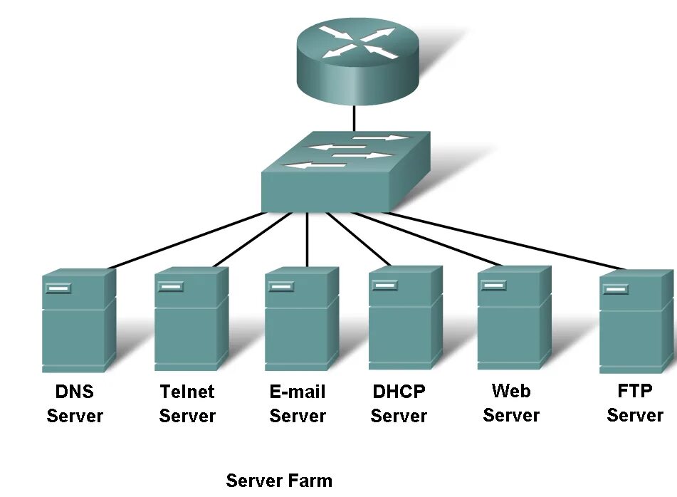 FTP сервер. Веб - и FTP- серверы. DHCP сервер. FTP сервер схема. Домен dhcp