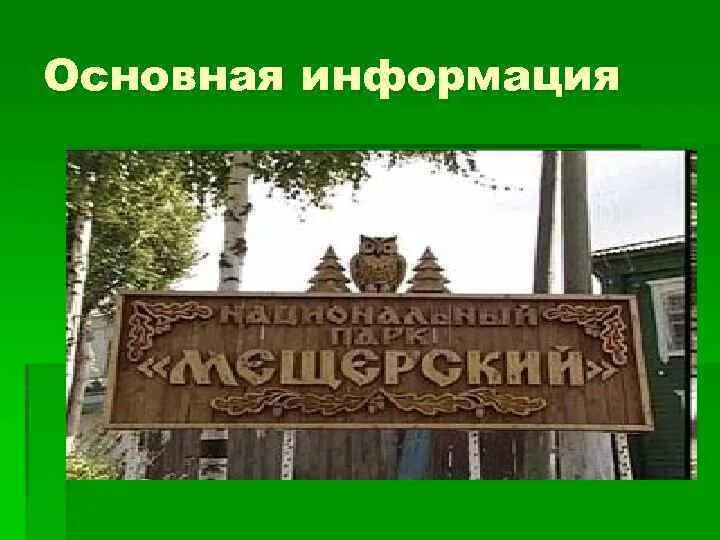 Заповедник во владимирской области. Мещёрский национальный парк. Гусь Хрустальный Мещерский заповедник. Национальный парк Мещера Гусь-Хрустальный. Мещёра национальный парк эмблема.