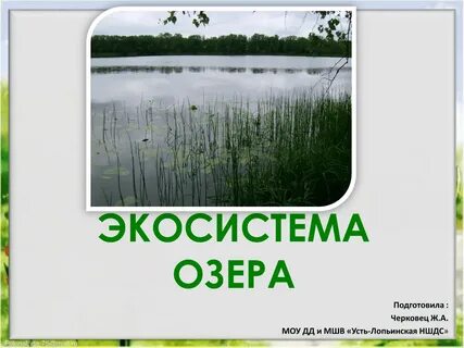 Экосистема озера