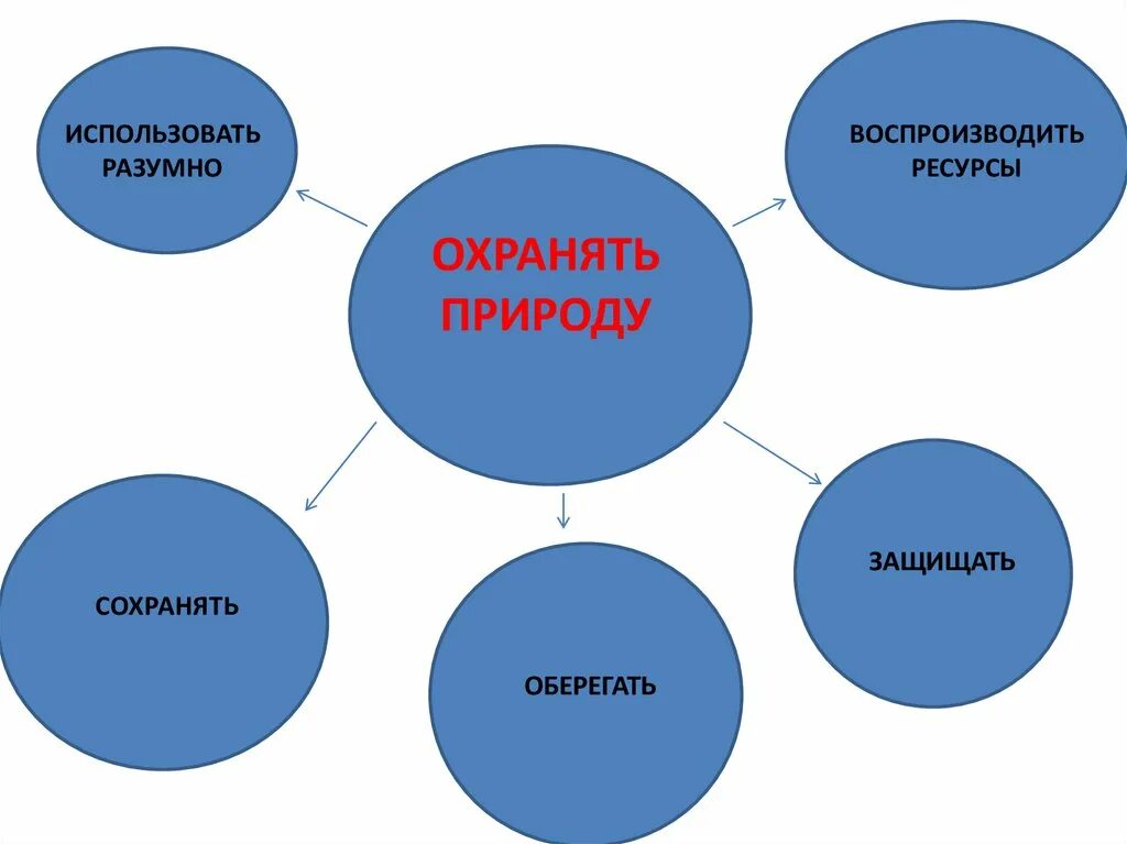 Кластер охрана природы. Охрана природы схема. Кластер в защиту природы. Составляющие охраны природы.