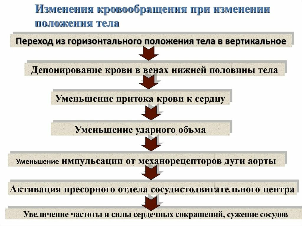 Изменение положения женщины. Кружиться голова при перемене положения тела. Причины головокружения при изменении положения тела. Головокружение при изменении положения головы. Головокружение при смене положения причины.