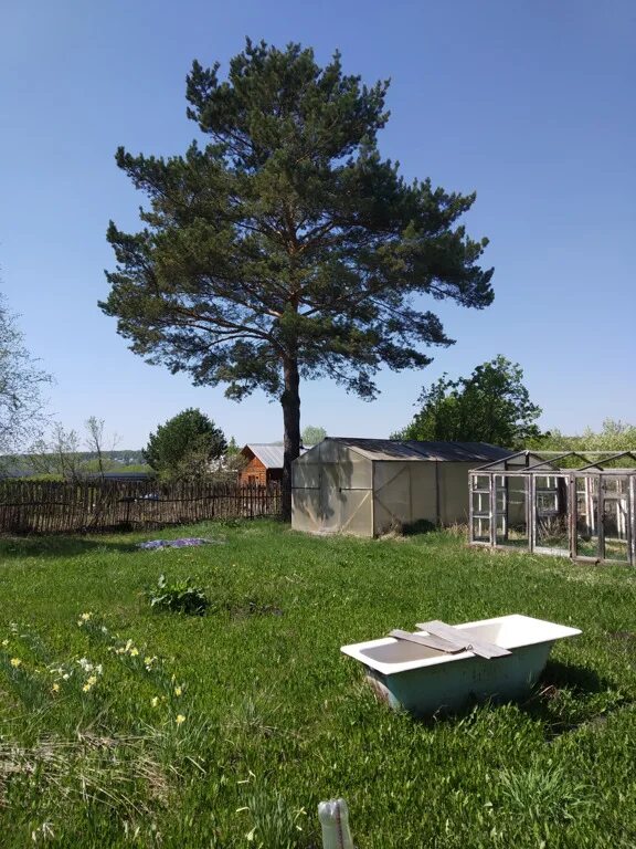 Репьево новосибирская область. Репьево новосибирская область. Дом в репьево. Погода репьево новосибирск. Погода репьево новосибирск.