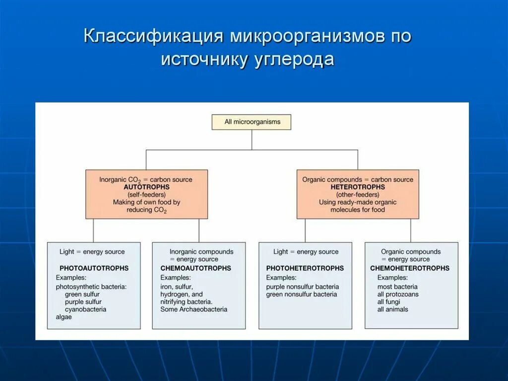 Пути проникновения патогенных микробов в организм человека. Источник микроорганизмов. Классификация микроорганизмов схема. Пути проникновения патогенных микроорганизмов в организм человека:. Классификация бактерий по источнику получения энергии.