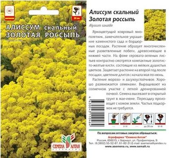 Алиссум скальный семена
