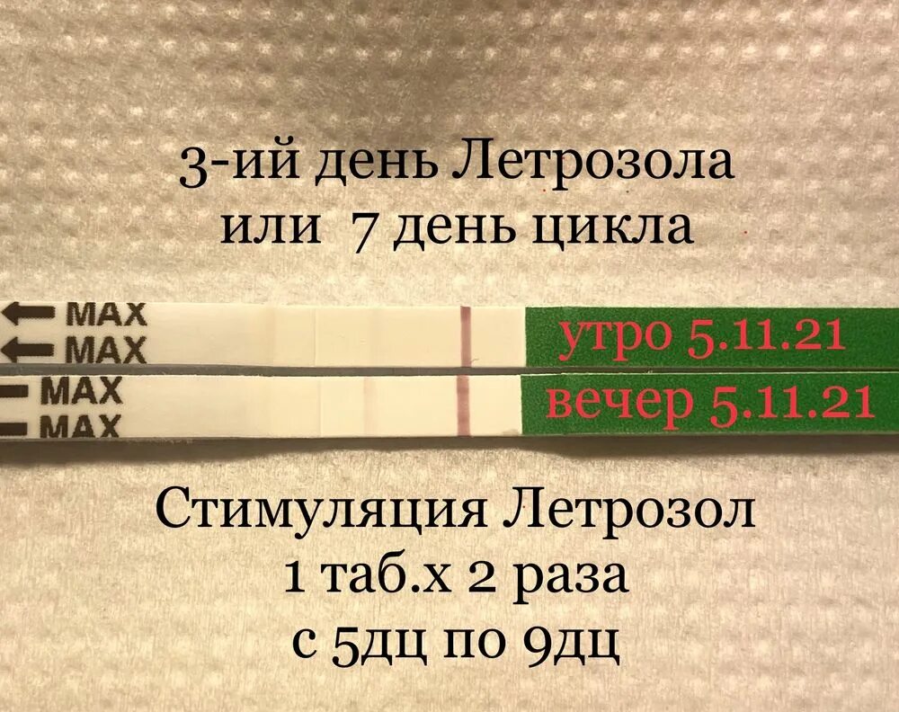 Летрозол овуляция отзывы. Стимуляция овуляции летрозолом схема. Летрозол для стимуляции овуляции. Стимуляция летрозолом схема. Протокол стимуляции овуляции Летрозол.