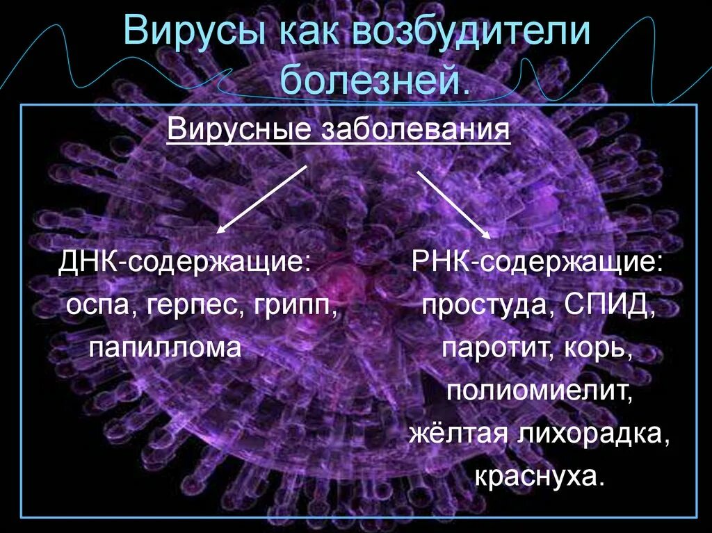 Вирусные заболевания. Болезни вируса биология. Вирусы возбудители болезней. Вирусы возбудители заболеваний человека. Вирусные заболевания 9 класс