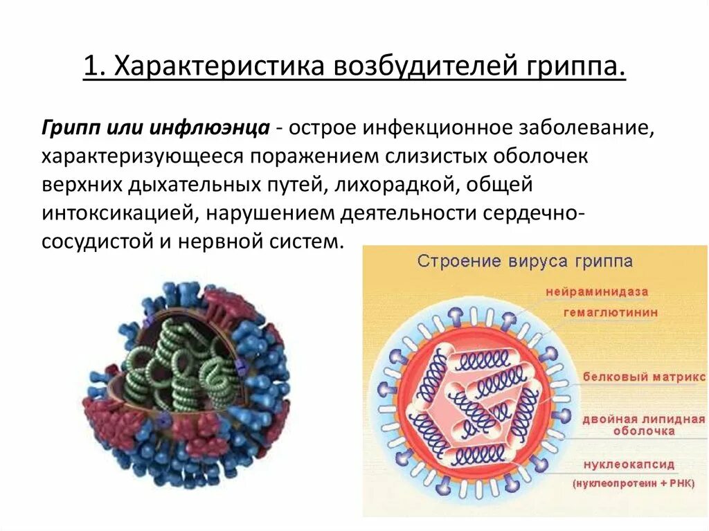 Респираторные вирусы гриппа. Возбудители вирусных респираторных инфекций гриппа ОРВИ. Вирусы - возбудители острых респираторных вирусных заболеваний. Основные свойства возбудителя гриппа. Респираторные вирусные инфекции характеристика возбудителей.