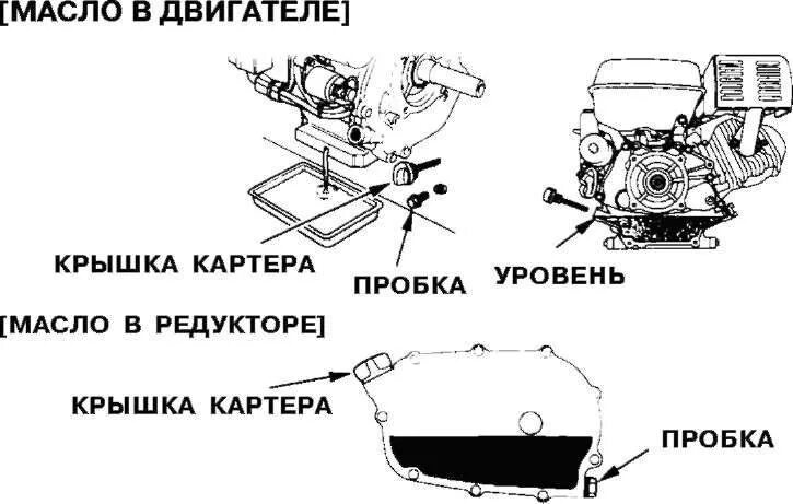 Сколько масла нужно в редуктор. Мотоблок huter масло в редуктор. масло для двигателя лифан 6.5 л.с мотоблок. мотокультиватор бензиновый как залить масло в редуктор. уровень масла в редукторе мотоблока хонда.