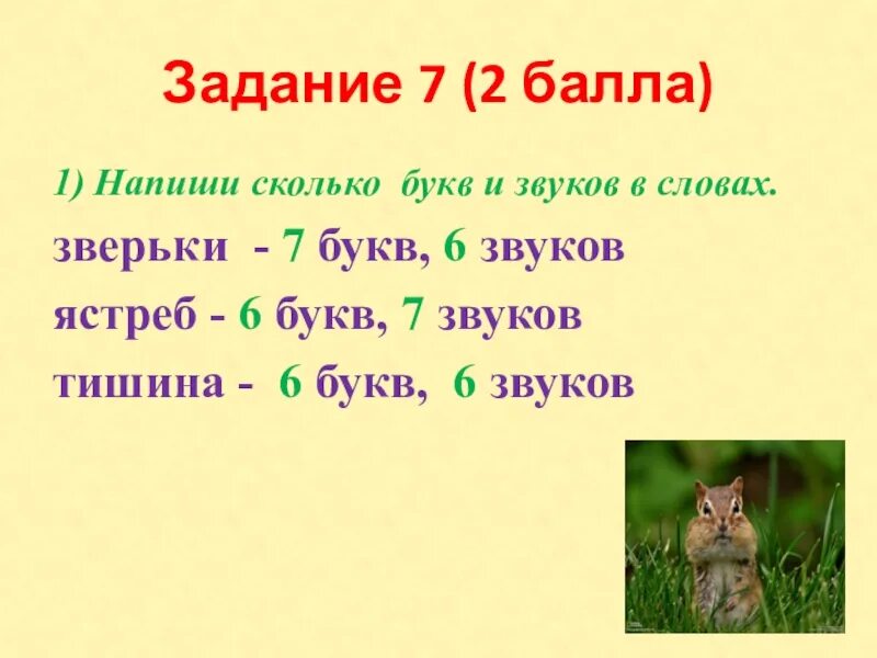 Заяц количество звуков. Сколько букв и звуков задания. Ястреб сколько букв сколько звуков. Комплексная работа 2 класс бурундук. Сколько звуков в слове зверёк.