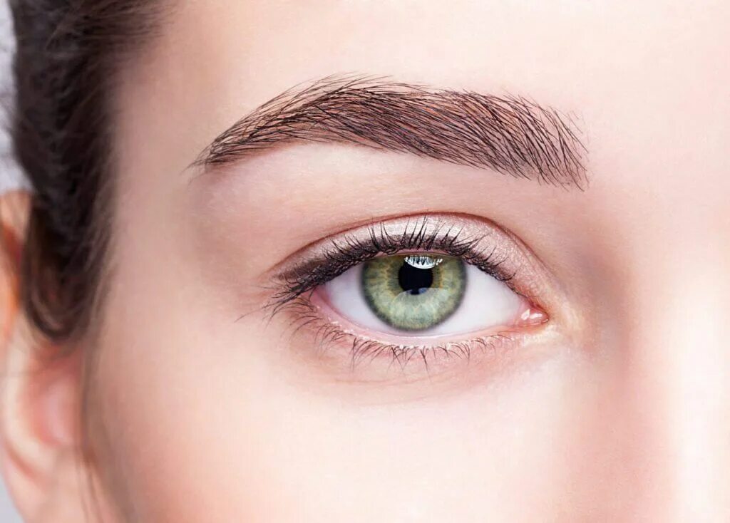 Brow lift. Брови Макросъемка. Брови крупным планом. Окрашивание ресниц. Брови человека.