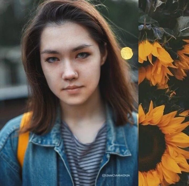 Анастасис