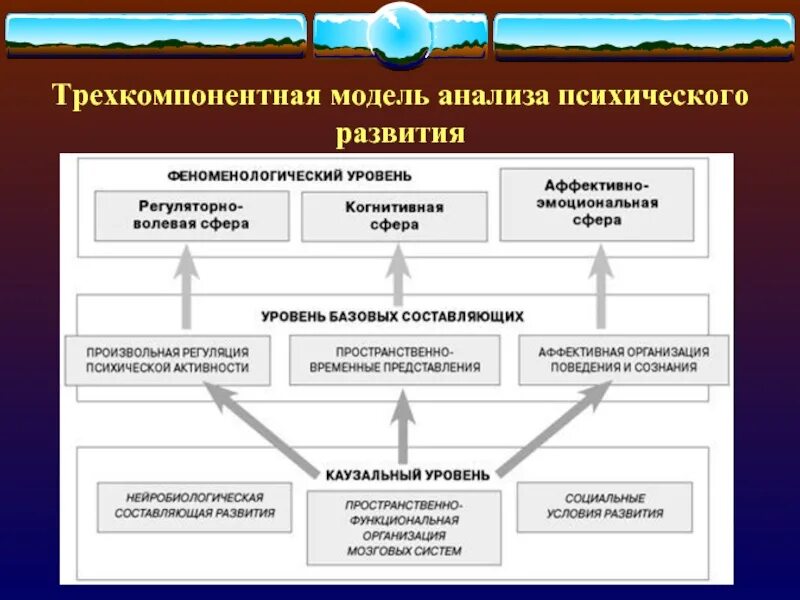 Анализ модели развития. Модели психологического развития. Модели психического развития. Исследования психического развития. Модели анализа.