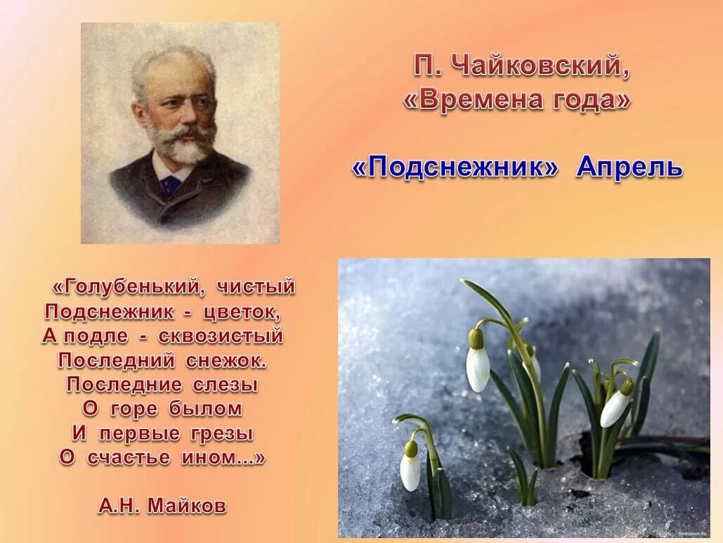 Слово цвести время. Апрель Подснежник Чайковский. Произведения п Чайковского о природе. Произведение Чайковского "Подснежник",. П.И Чайковский апрель Подснежник.